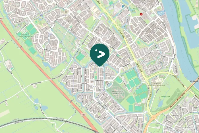 Gespotte Grauwe gans