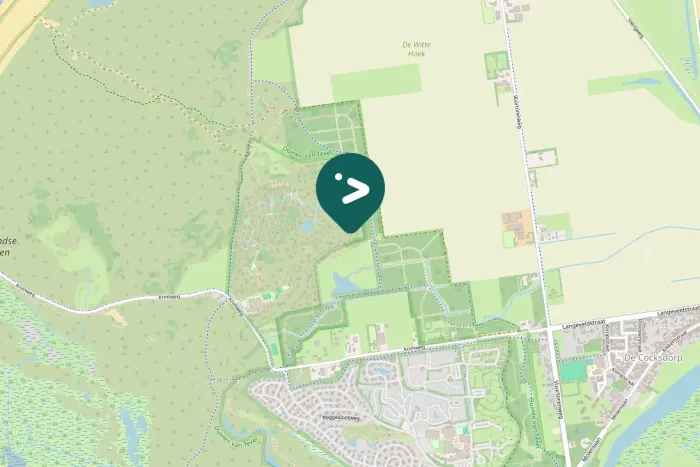 Gespotte Geelpootmeeuw