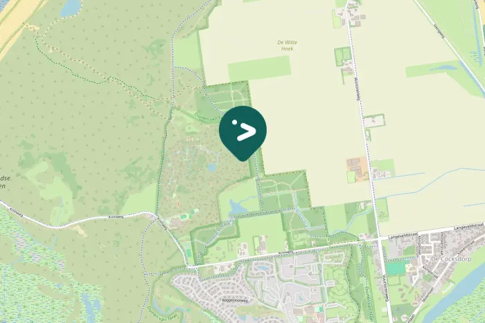 Gespotte Winterkoning