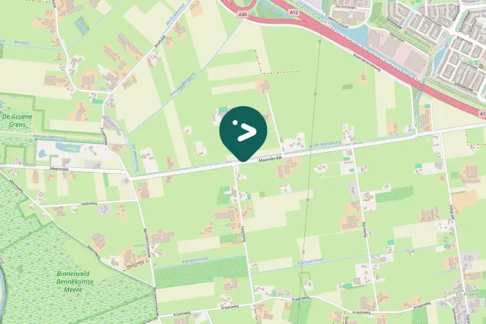 Gespotte Blauwe reiger