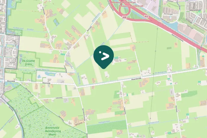 Gespotte Grote zilverreiger