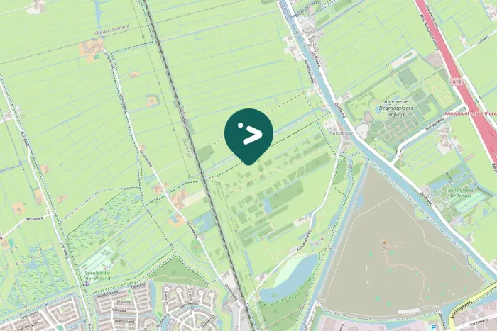 Gespotte Grote Canadese gans