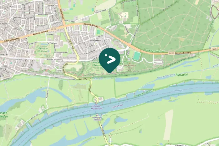 Gespotte Grote bonte specht