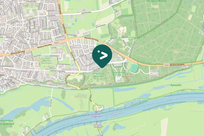 Gespotte Middelste bonte specht