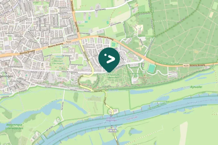 Gespotte Wilde zwaan