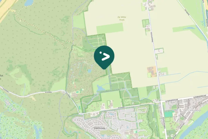 Gespotte Zwarte kraai