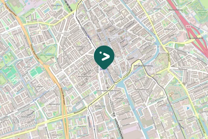 Gespotte Knobbelzwaan