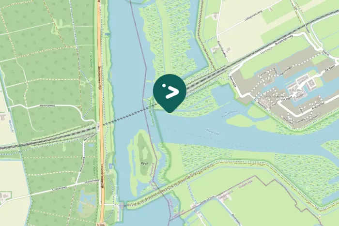 Gespotte Knobbelzwaan