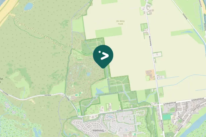 Gespotte Kleine zilverreiger