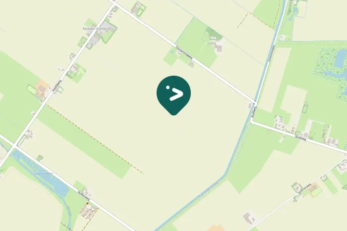 Gespotte Wilde zwaan