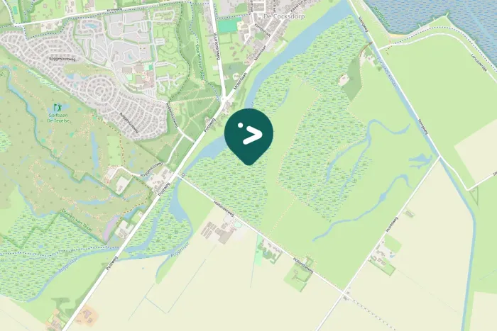 Gespotte Grote zilverreiger