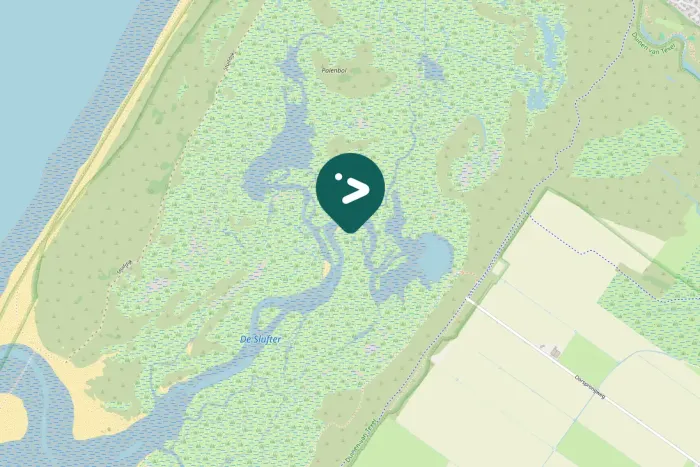 Gespotte Blauwe reiger