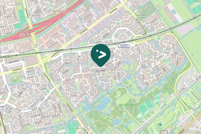 Gespotte Zanglijster