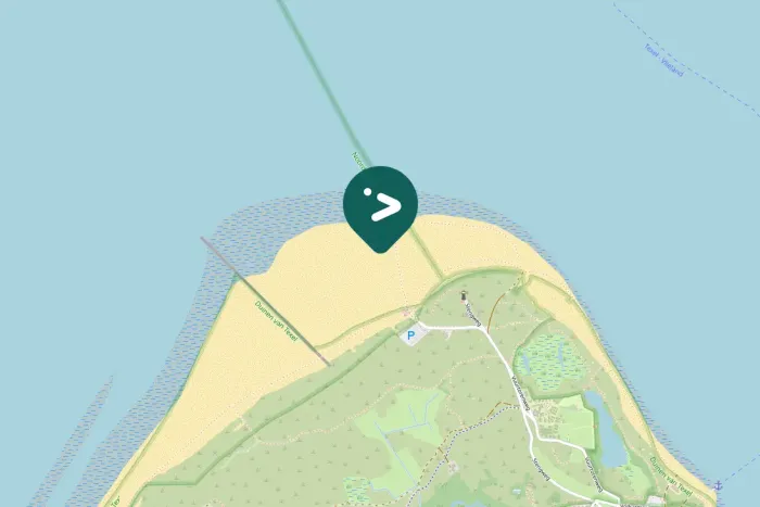 Gespotte Aalscholver