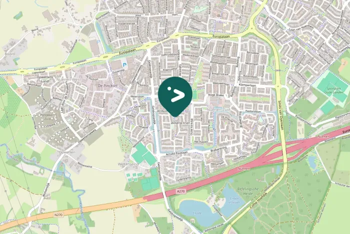 Gespotte Zwarte kraai