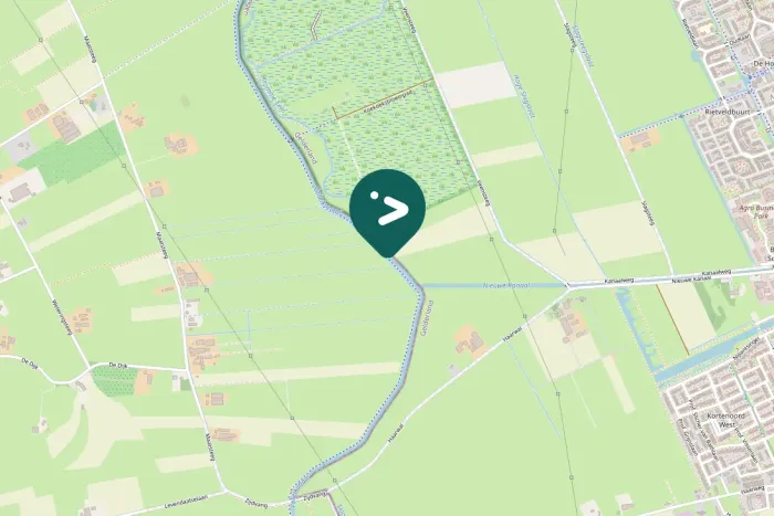 Gespotte Roodhalsgans