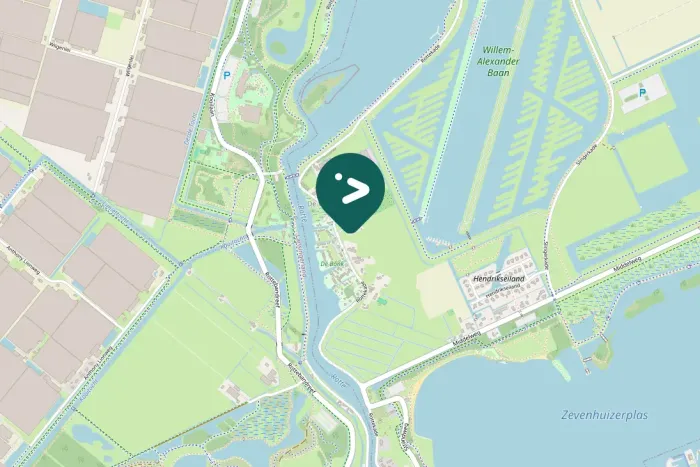 Gespotte Grote zilverreiger