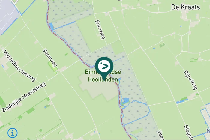 Gespotte Cetti's zanger