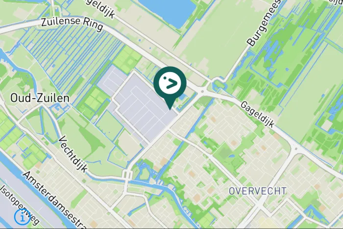 Gespotte Grote gele kwikstaart