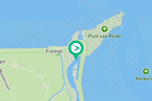 Gespotte Grote zilverreiger