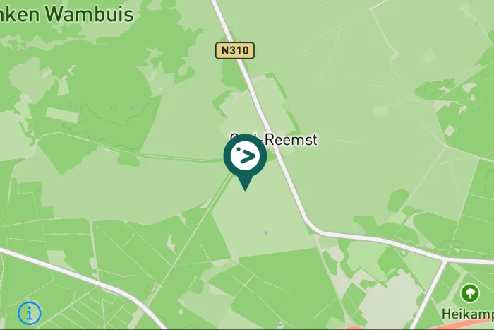 Gespotte Grote bonte specht