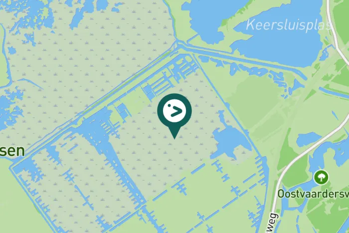 Gespotte Aalscholver