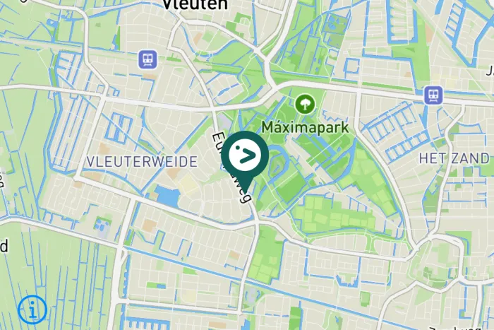 Gespotte Zilvermeeuw