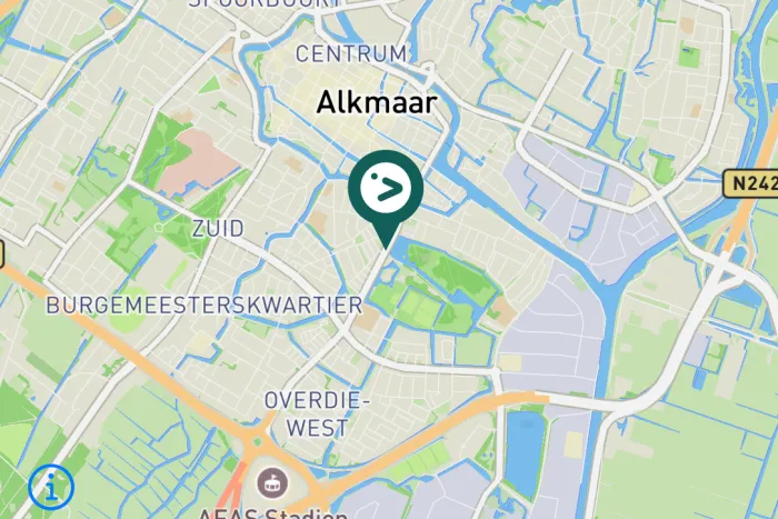 Gespotte Aalscholver