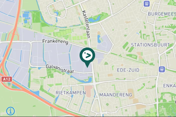 Gespotte Witte kwikstaart