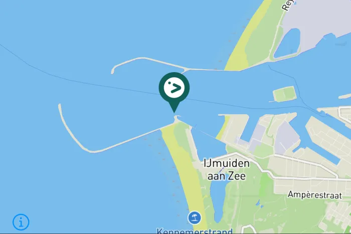 Gespotte Kuifaalscholver