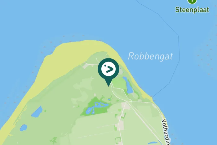 Gespotte Winterkoning