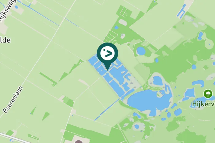 Gespotte Wilde zwaan