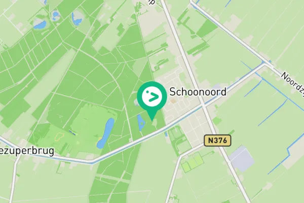 Gespotte Grauwe vliegenvanger