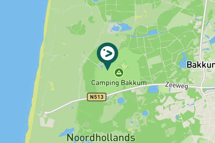 Gespotte Grote gele kwikstaart