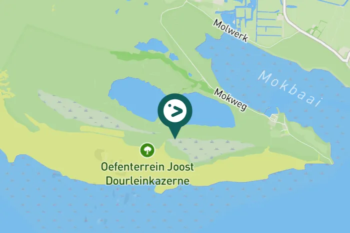 Gespotte Kuifeend