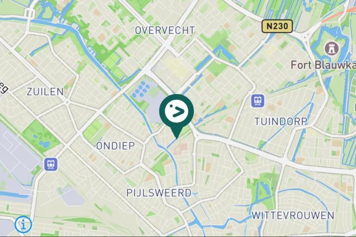Gespotte Muskuseend