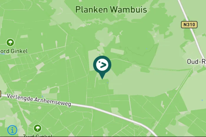 Gespotte Aalscholver