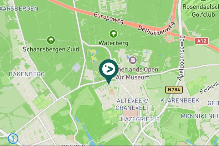 Gespotte Glanskop