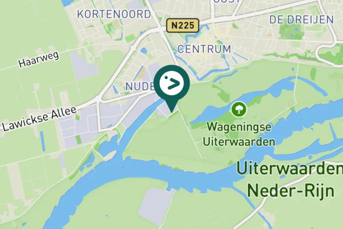 Gespotte Groene specht