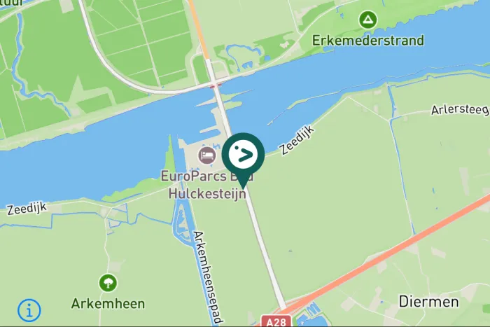 Gespotte Grauwe gans