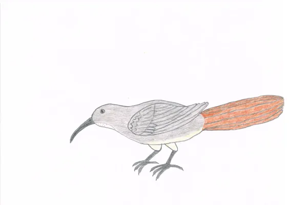 File:Toxostoma lecontei-reconstruction.jpg