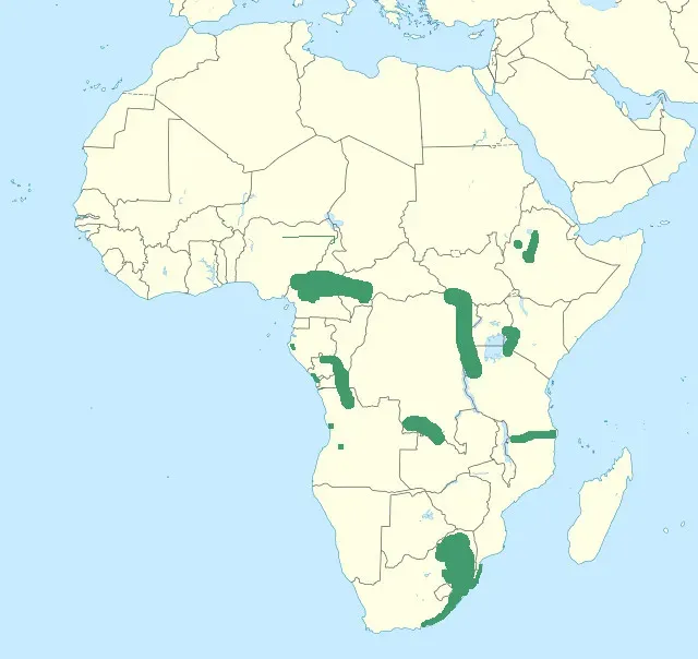 File:Jynx ruficollis map.jpg