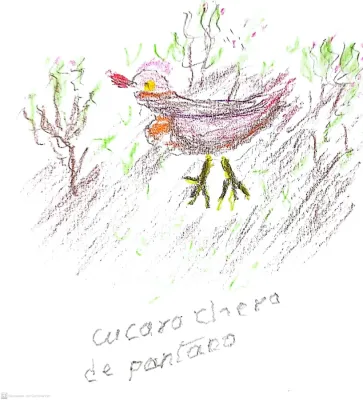 File:Cistothorus apolinari - Cucarachero de pantano.jpg