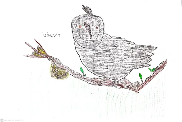 File:Asio stygius - Lechuzon.jpg