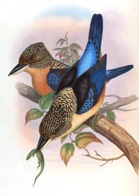 File:DaceloTyroGould.jpg