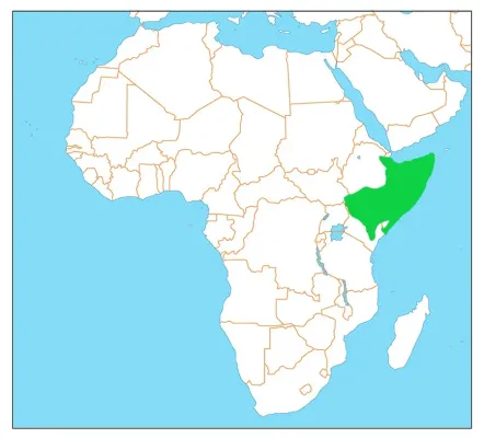 File:Cursorius somalensis dist.jpg