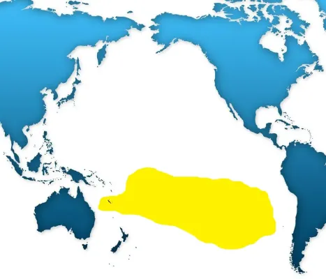 File:Nesofregetta fuliginosa dist.jpg