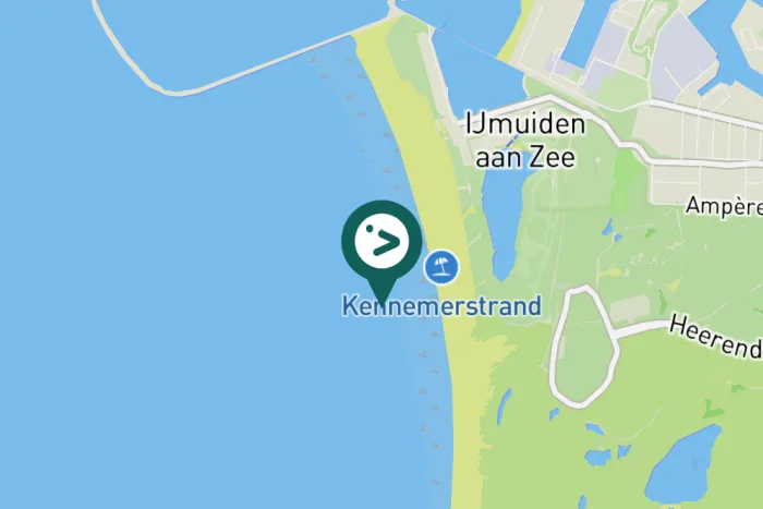 Gespotte Grote mantelmeeuw