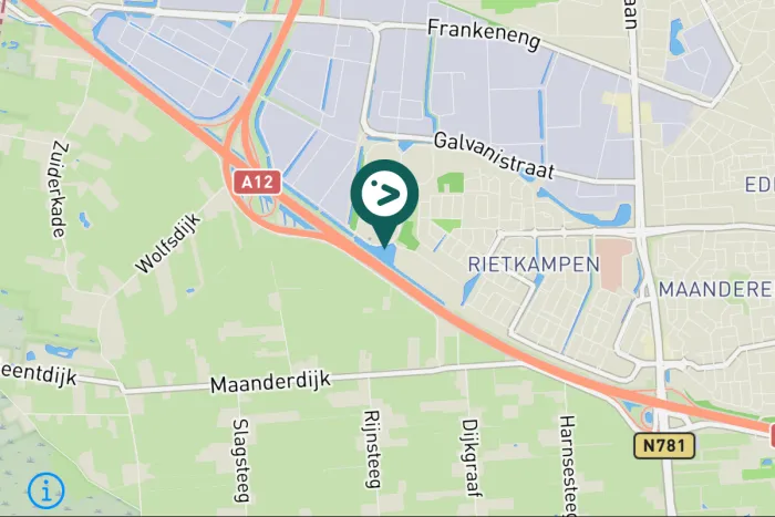 Spotted Little Grebe