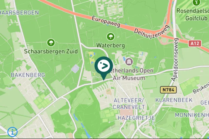 Gespotte Grote gele kwikstaart